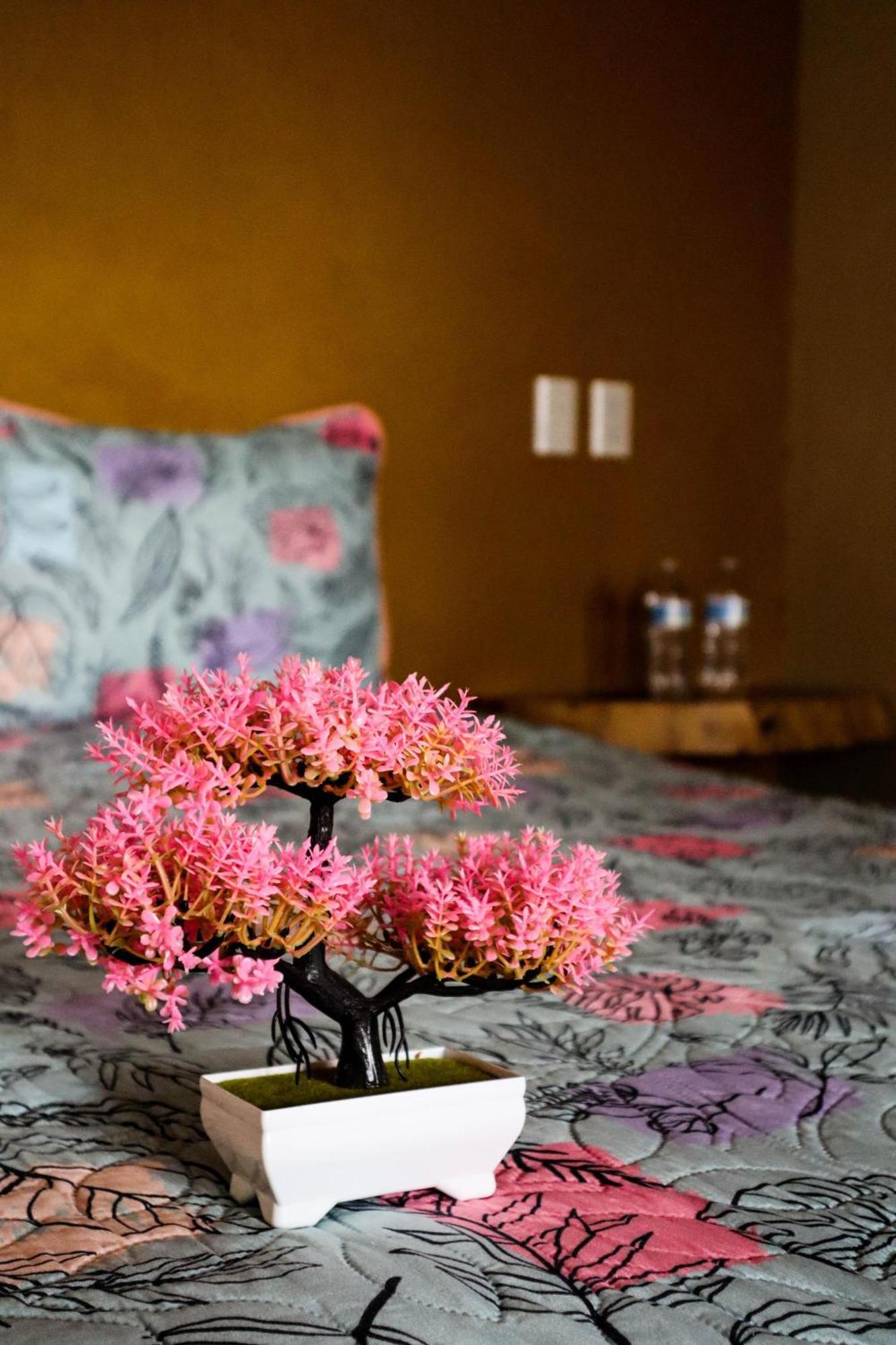 Playa Sayulita Hotel Ngoại thất bức ảnh
